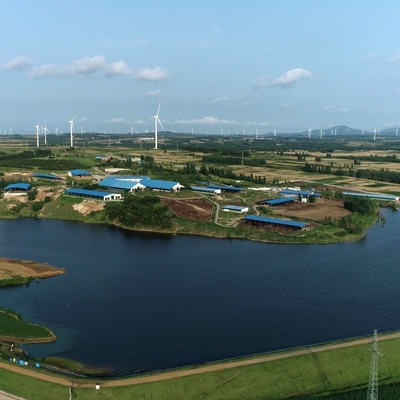 อาคารโรงเรือนวัวโครงสร้างเหล็ก Q355B พร้อมแผงแซนวิช
