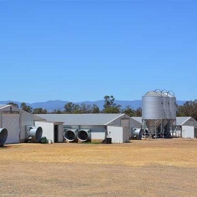 โครงสร้างไฟฟ้าโรงเลี้ยงไก่เหล็ก Prefab Q235B Q355B