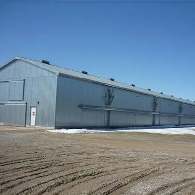 โครงสร้างไฟฟ้าโรงเลี้ยงไก่เหล็ก Prefab Q235B Q355B