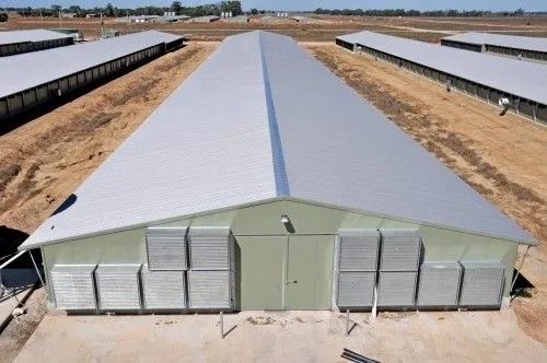 โครงสร้างสแตนเลส H-Beam Prefab โครงสร้างสแตนเลส H-Beam Prefab โครงสร้างสแตนเลส H-Beam Steel Prefab โครงสร้างสแตนเลส H-Beam Prefab โครงสร้างสแตนเลส H-Beam Prefab โครงสร้างสแตนเลส H-Beam Prefab โครงสร้างสแตนเลส H-Beam Prefab โครงสร้างสแตนเลส H-Beam Prefab โครงสร้างสแตนเลส H-Beam Prefab โครงสร้างสแตนเลส H-Beam Prefab โครงสร้างสแตนเลส H-Beam Prefab Poultry House Sandwich Panel Insulation