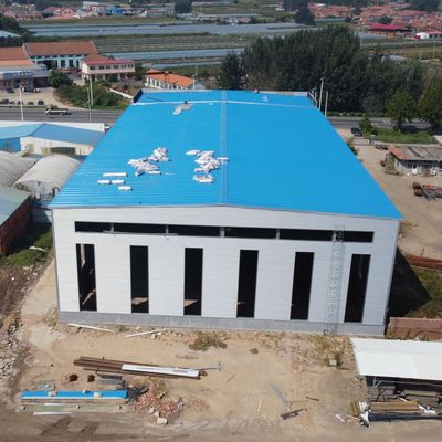 Heavy Duty Steel Structure Hangar with Overhead Crane System