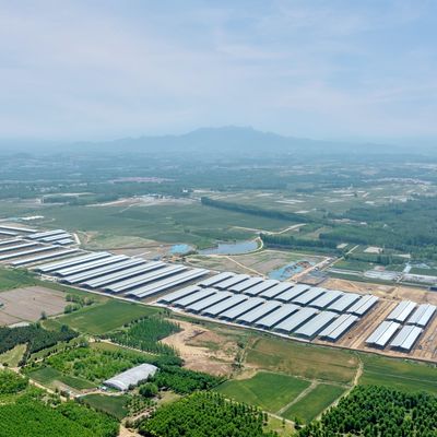 โครงสร้างสแตนเลส Prefab โมดูล ฟาร์มวัว โรงงานอาคารสแตนเลสที่มีการรักษาพื้นผิวที่ยั่งยืนและอายุการใช้งานยาวนาน