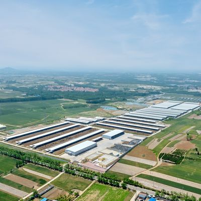 โครงสร้างสแตนเลส Prefab โมดูล ฟาร์มวัว โรงงานอาคารสแตนเลสที่มีการรักษาพื้นผิวที่ยั่งยืนและอายุการใช้งานยาวนาน