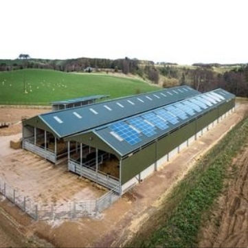 Stably Assembled Light Steel Structure Storage Shed Kit