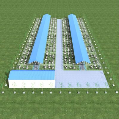 การออกแบบ จําหน่าย โครงสร้างเหล็กที่ทันสมัย โรงเลี้ยงนม โรงเลี้ยงวัวโลหะ โรงเลี้ยงวัวที่มีระบบอากาศ