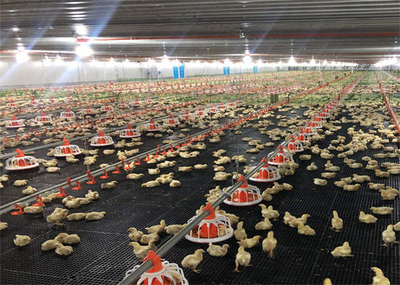 บ้านไก่ อาคารโครงสร้างเหล็กที่มีการกันความร้อนจากกระจก